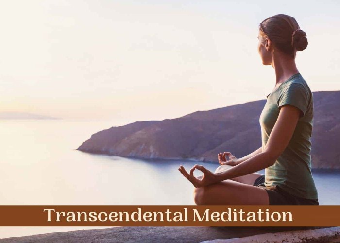 Meditation transcendental Meditation transcendental