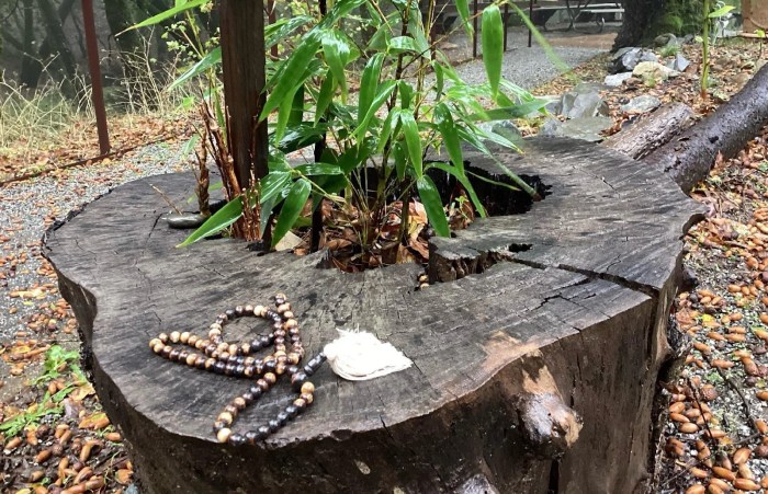 3 Steps to Practice Meditation for the First Time