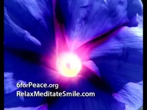 10 Benefits of Guided Visual Meditations